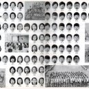 미양초등학교 이미지