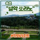 종로카&더좋은셀프존 | 리조트 설악 쏘라노> 디럭스 객실 후기 (워터피아 설악산케이블카 속초해수욕장 속초관광수산시장...