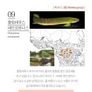 부경대학교 수산질병관리원 이미지