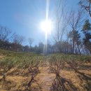 성복목장 이미지