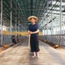 여물농장 이미지