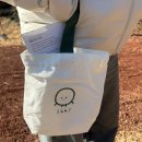 숲결3,4 | 제주 카페 추천 이끼숲소길 산책로 있는 힐링 코스 주차까지 완벽했던 내돈내산 후기