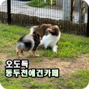 삼육사로25 이미지