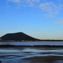 성산포항여객터미널 이미지