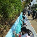 선일초등 이미지