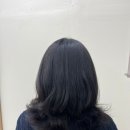꼼무드헤어아산탕정점