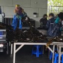 기장수산물체험홍보센터 이미지