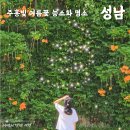 희망대공원길 이미지