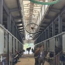 서울승마힐링캠프 이미지