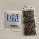신다송