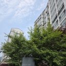 다양한 원단을 직접 보고 만지고 가격 비교 할수 있는 광명커튼블라인드매장 추천드려요