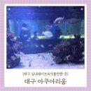 곰치2농장 | 대구 가볼만한곳 대구 아쿠아리움 실내데이트 추천 다흑 파충류관 오픈