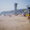 네네치킨대천해수욕장점 | [대천가볼만한곳]대천해수욕장 수영복궁금하쥬 네네치킨치즈스노윙은 덤