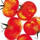 토마토 이미지
