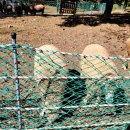 소명목장 이미지