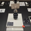 향기나는숲에스테틱향림 | 언차티드에스테틱퀘스트 헤어쿨링 탈모예방 두피토닉 키링 두피냄새 관리 고민 끝