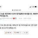 코인 덕에 대기업 퇴사한 썰 이미지