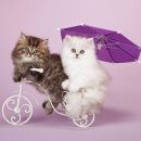 공장 신축공사 이미지