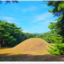 배동삼릉 이미지