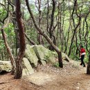 주말여행 <b>여기</b> <b>어때</b>…'일상의 쉼표' 완주 구이저수지...