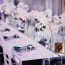 나나통상 이미지