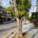 신일비즈니스고등학교 이미지