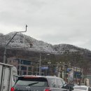 새동네2길 정자 | 지원동기 작작 물어봐라 엑디즈 오빠들 새 앨범이 나온다잖아요(3월 일상)