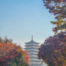 봉황로 33 | 11월 경주여행 2박 3일 단풍 여행 코스 뚜벅이 정리 1편