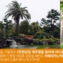(주)삼영관광일출랜드
