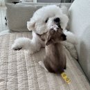 우기반점