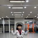 초은 스탈릿 백호 태권도장 이미지