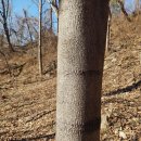 구평공원 이미지