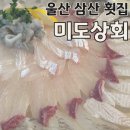 삼산상회 | 울산 삼산 횟맛집 미도상회, 신선함함 최고 모듬회 후기