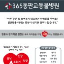 365동판교동물병원 이미지