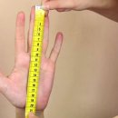 휴먼인테리어 네이버블로그