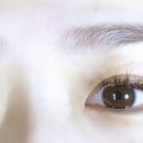 비바래쉬