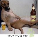 대포집