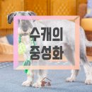 안녕;하상동 이미지