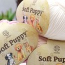 퍼피 비비드 이미지