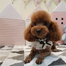 문정미용타운