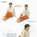 기체조 이미지