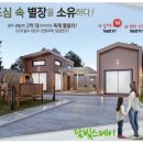 담빛스테이
