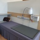 임설혜한의원 이미지