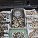 코아마트 | 전주 세이브존에서 장보고 전주코아 맛집까지, 하루 코스 완벽했던 후기