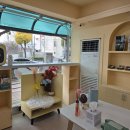 별이알이 댕댕샵 | 강아지 미용샵 방문 전 꼭 확인해야 할 7가지