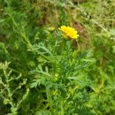 가야대학교생활관 이미지