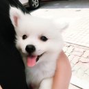 빙수네민박 이미지