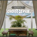 아이유샵카페