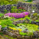 채송화펜션 이미지