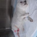 건국동물병원 이미지